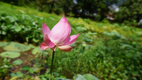 马来西亚马来亚大学热门专业 TOP10 出炉:留学生最爱竟然不是商科?