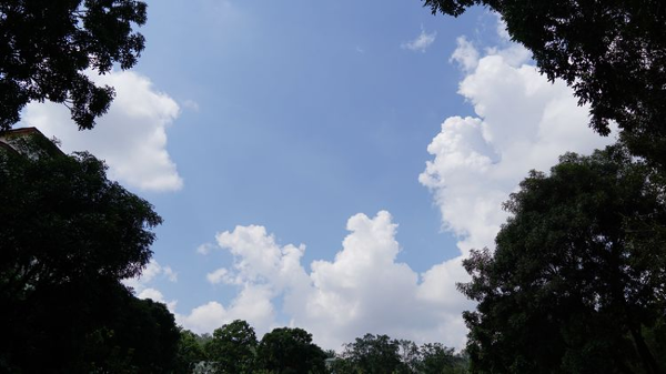 令人振奋的突破:马来西亚马来亚大学世界排名最新公布