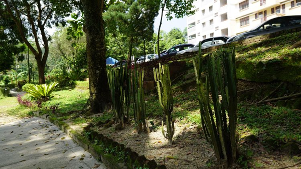 马来亚大学：马来西亚教育的骄傲