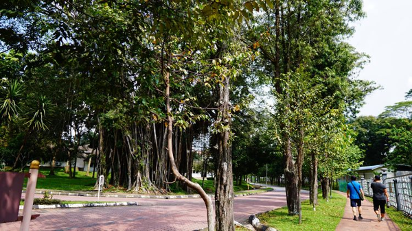 马来西亚马来亚大学：教育瑰宝