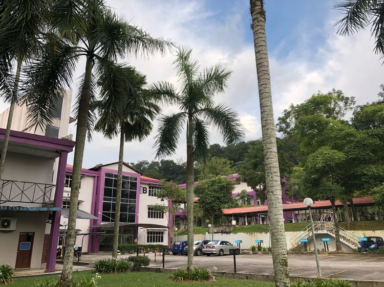 马来亚大学：鼓励学生开展社会公益活动
