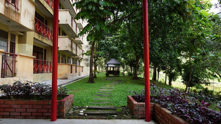 马来亚大学的教师教学法和培训