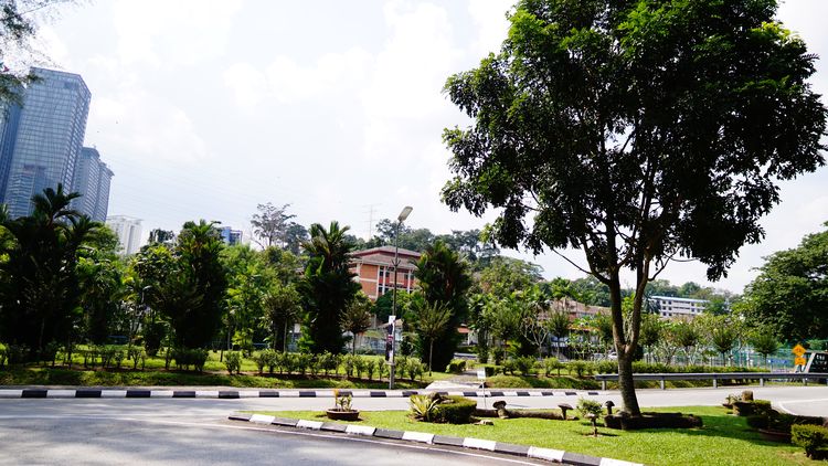马来亚大学的心理学学科