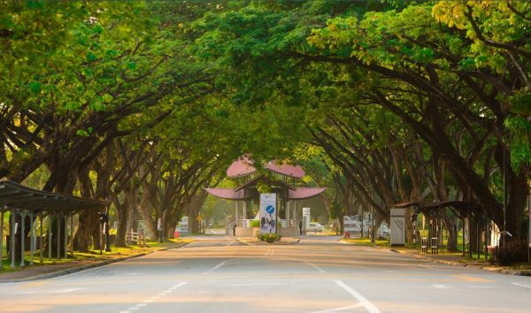 马来亚大学：马来西亚的知名高校