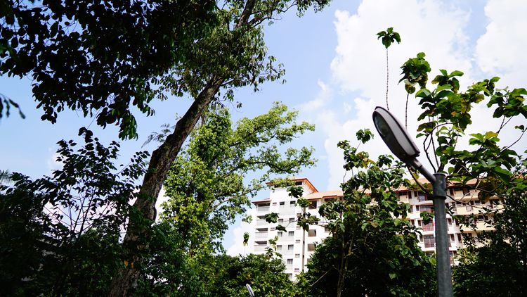 马来亚大学硕士含金量
