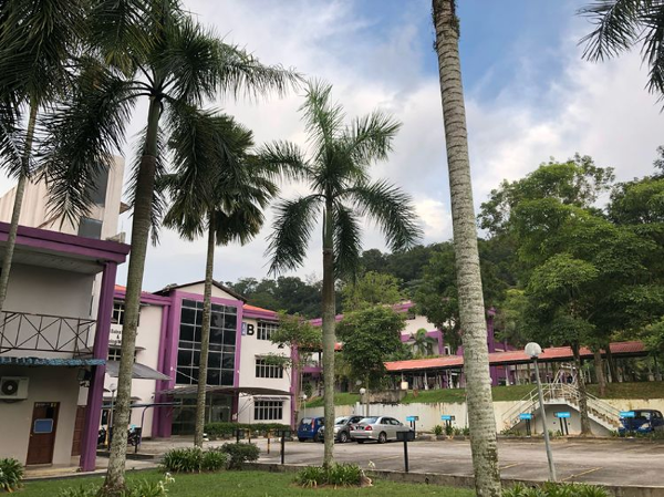 马来亚大学：马来西亚的高等教育明珠