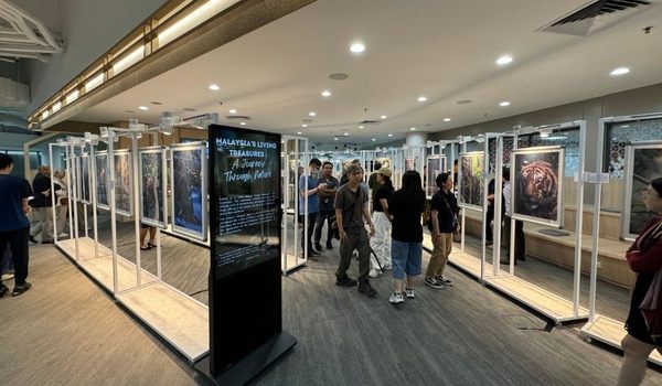 马来西亚马来亚大学留学优势分析，为什么被称为亚洲性价比之王